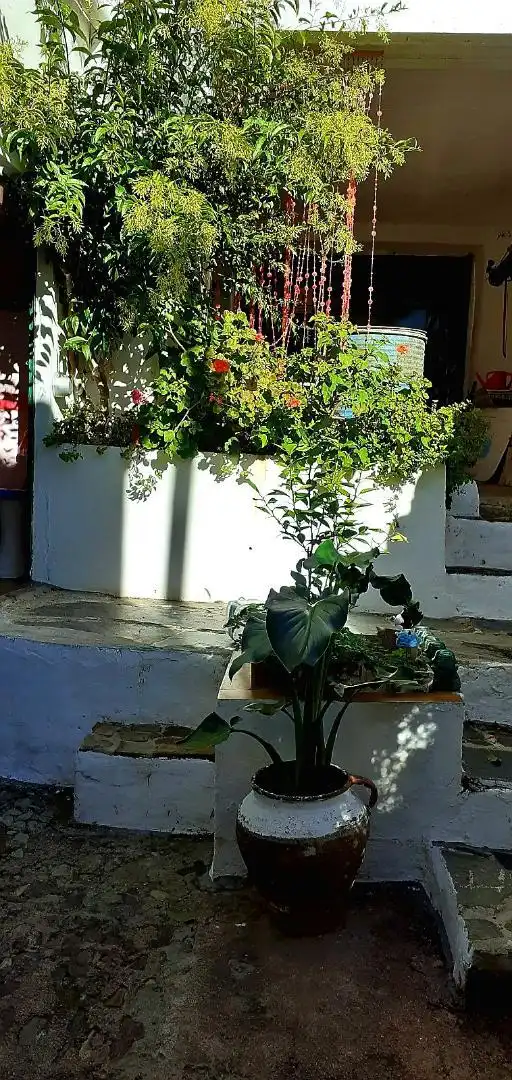 Jardí de Finca rústica en venda en Aracena amb Terrassa i Balcó