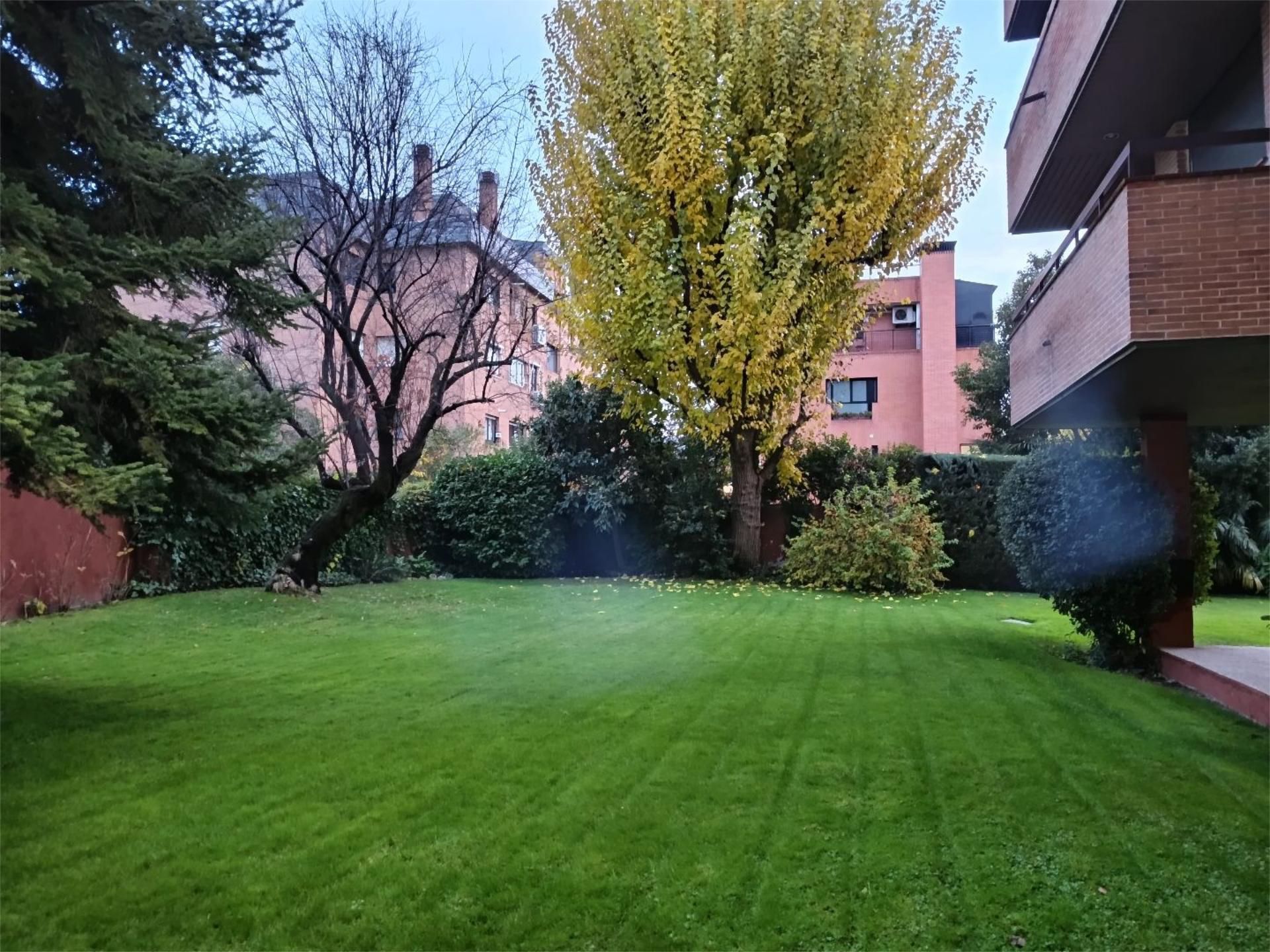 Jardí de Pis de lloguer en  Madrid Capital amb Aire condicionat i Piscina