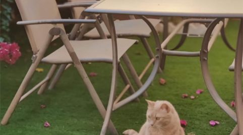 Foto 5 von Wohnung zum Verkauf in Bollullos de la Mitación, Sevilla