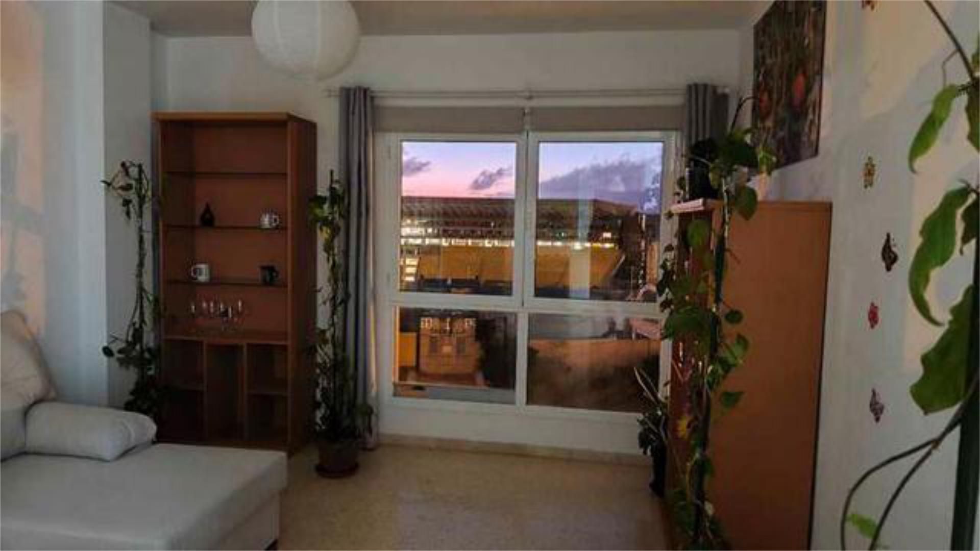 Flat to rent in Siete Palmas