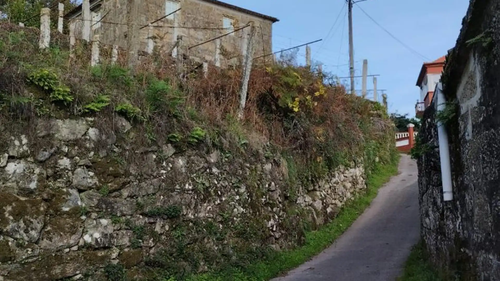 Vista exterior de Finca rústica en venta en A Cañiza   con Jardín privado, Terraza y Balcón