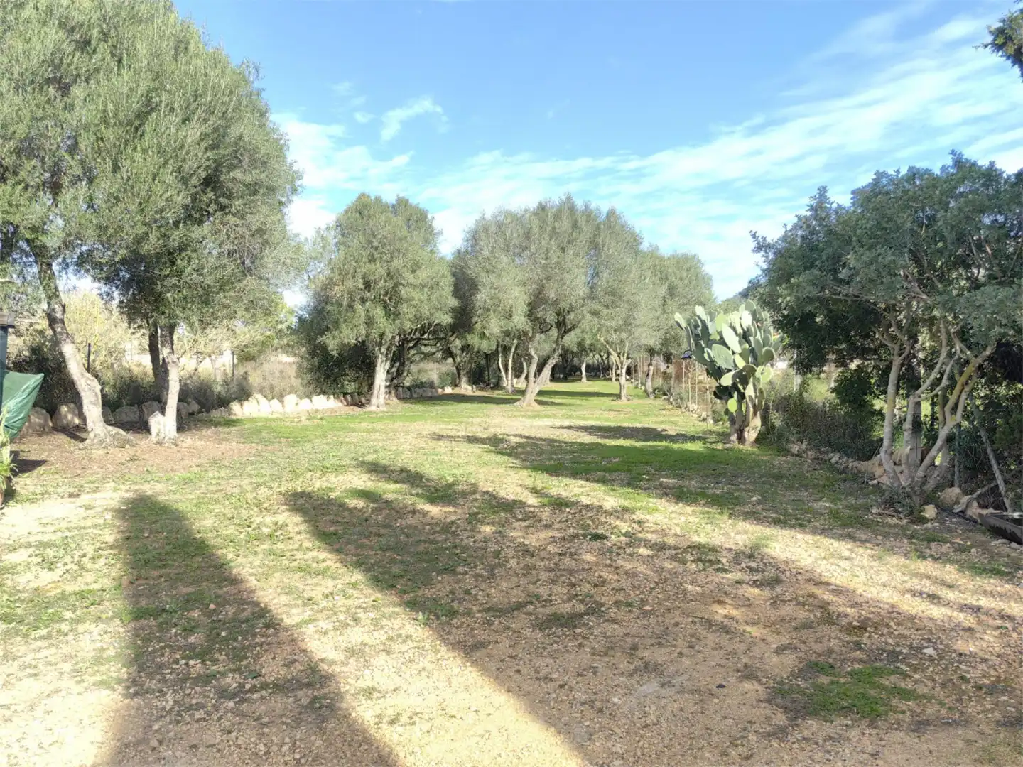 Country homes for sale in Camí d'Es Coix Carro, 523, Llucmajor pueblo Country homes for sale in Llucmajor with Air Conditioner, Heating and Private garden