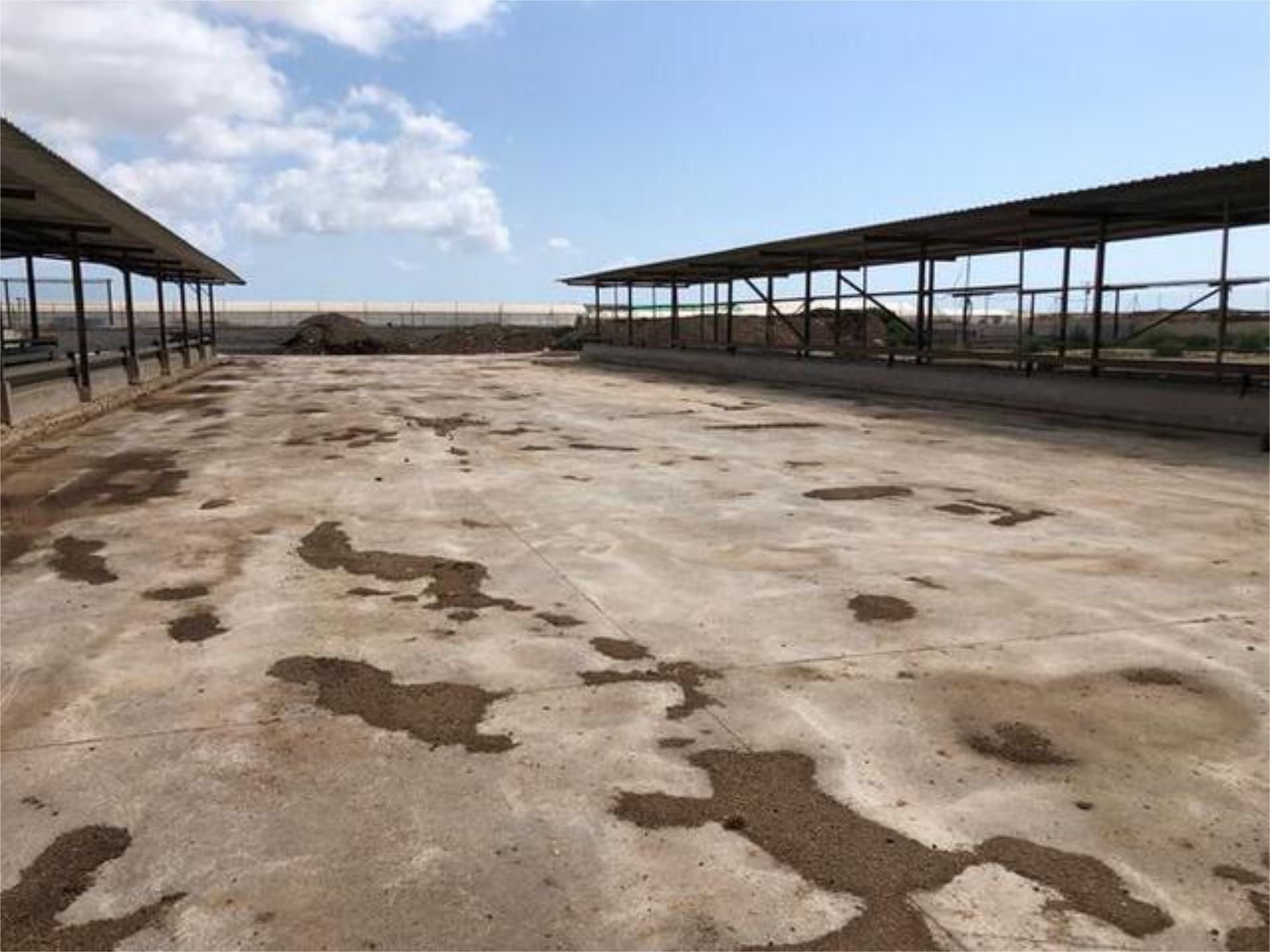 Nau industrial de lloguer en Elche / Elx