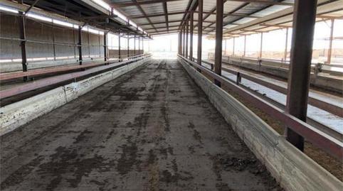 Photo 2 of Industrial buildings to rent in La Foia - Daimés - Asprella, Elche / Elx