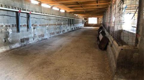 Photo 3 of Industrial buildings to rent in La Foia - Daimés - Asprella, Elche / Elx