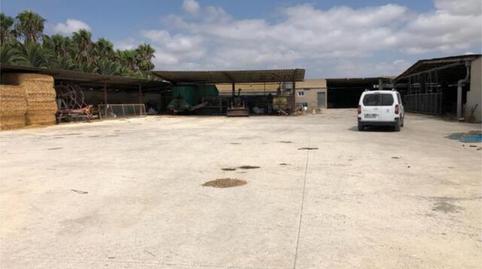 Photo 4 of Industrial buildings to rent in La Foia - Daimés - Asprella, Elche / Elx