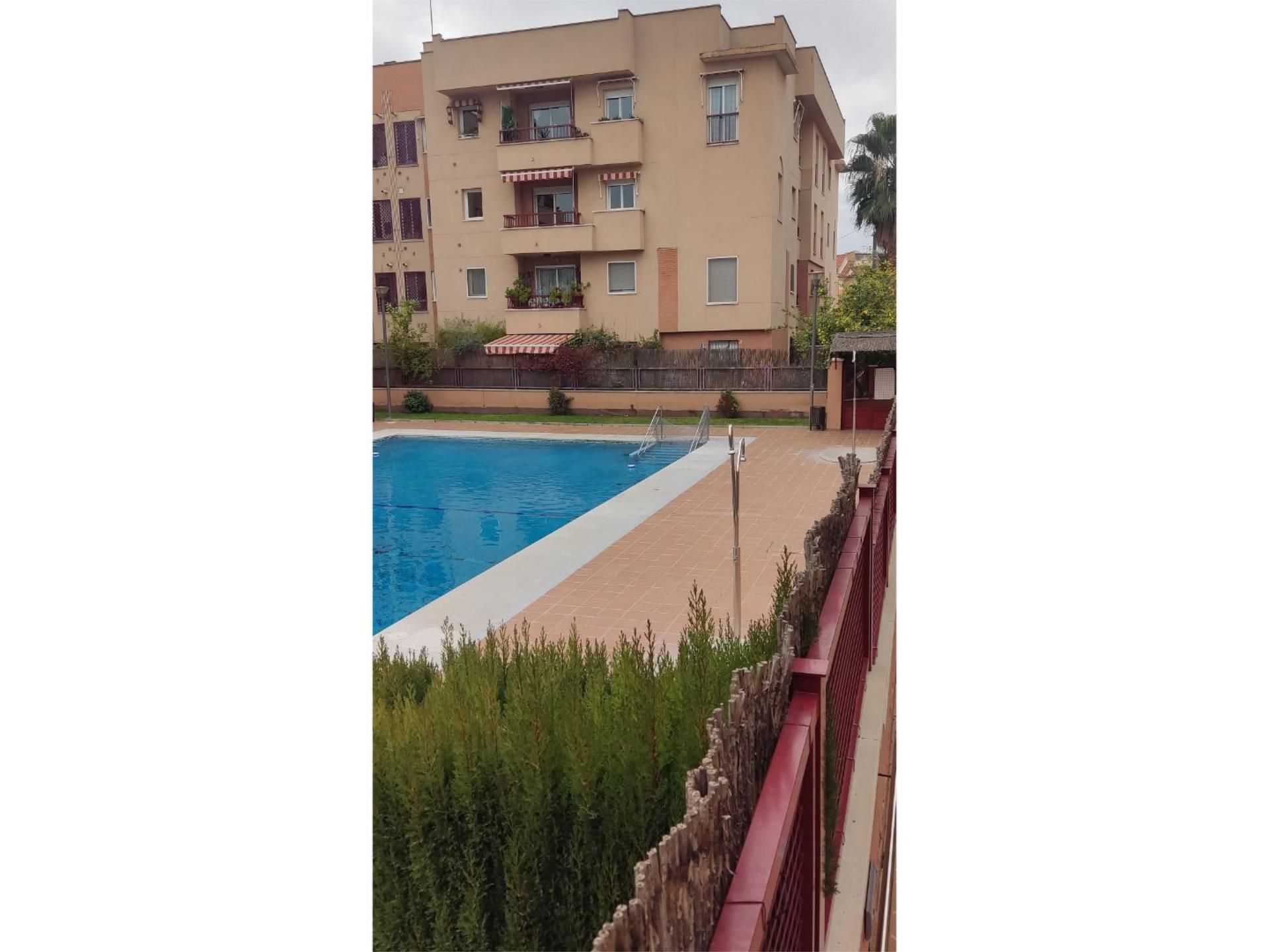 Flat to rent in Avenida de Maracena, 190, Cerrillo de Maracena - Periodistas