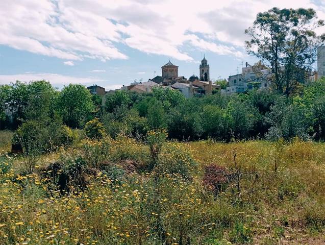 Terreno en Venta en Carrer del Pou, 80 en San Jorge / Sant Jordi