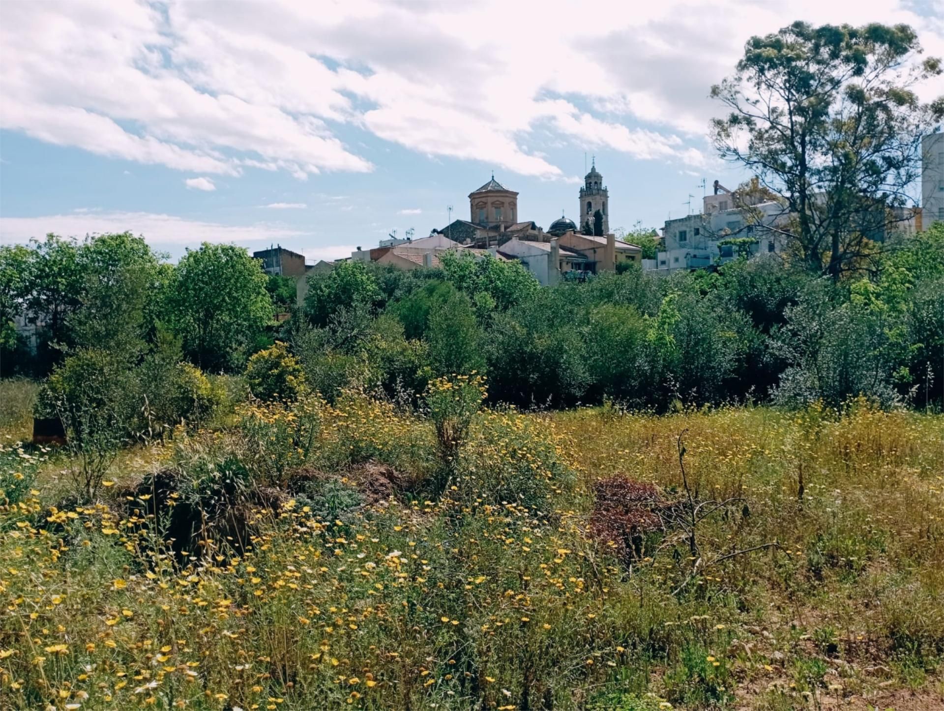 Land for sale in San Jorge / Sant Jordi