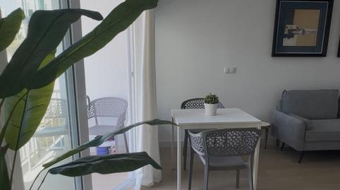 Foto 3 de Pis en venda a Carrer del Nígul, 1a, El Terreno,  Palma de Mallorca