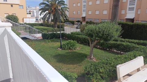 Apartament de lloguer a Carrer Les Neus, 66b, Piles, Valencia - imatge 3 Foto 3 de Apartament de lloguer a Carrer Les Neus, 66b, Piles, Valencia