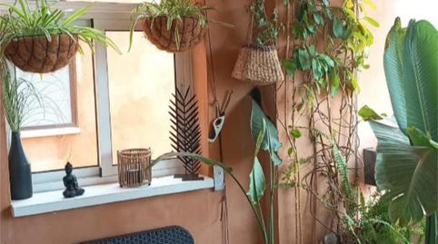 Photo 4 of Flat for sale in Calle Fuerteventura, 3, Aguas Nuevas, Torrevieja