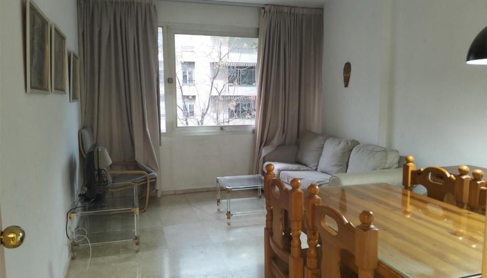 Pis de lloguer a Plaza Aviador Ruiz de Alda, 7, Parque María Luisa -Giralda Sur, Sevilla Capital - imatge 1 Foto 1 de Pis de lloguer a Plaza Aviador Ruiz de Alda, 7, Parque María Luisa -Giralda Sur, Sevilla Capital