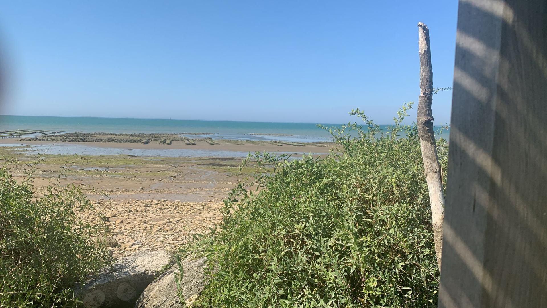 Flat to rent in Plaza Andalucía, 1, Centro - La Costilla Flat to rent in Rota with Parquet flooring, Terrace and Furnished