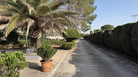 Finca rústica de lloguer a Partida Cascante, 150, Cabanes y Las Fuentes, Villena - imatge 2 Foto 2 de Finca rústica de lloguer a Partida Cascante, 150, Cabanes y Las Fuentes, Villena