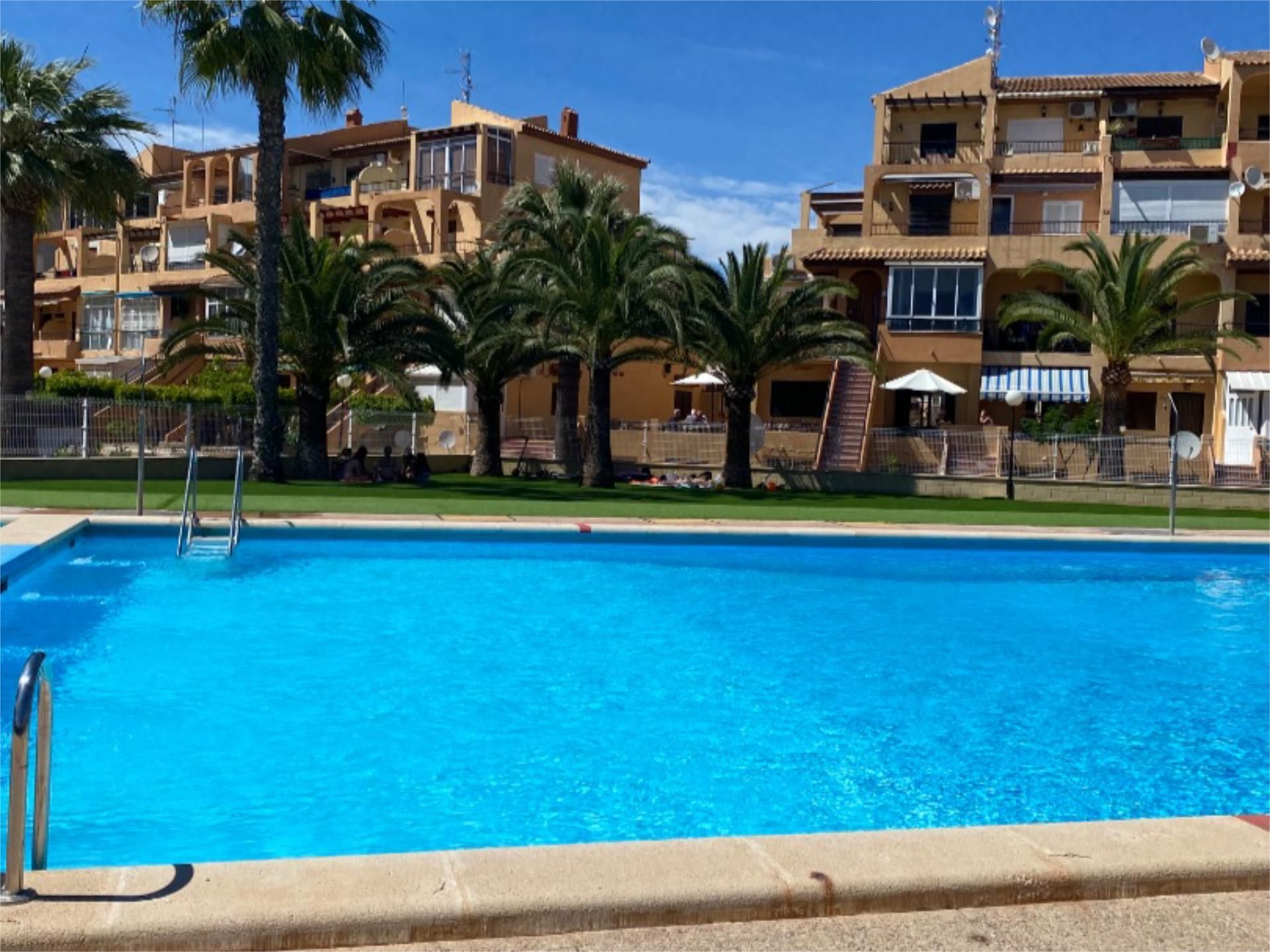 Piscina de Estudi de lloguer en Torrevieja amb Aire condicionat, Jardí privat i Parquet