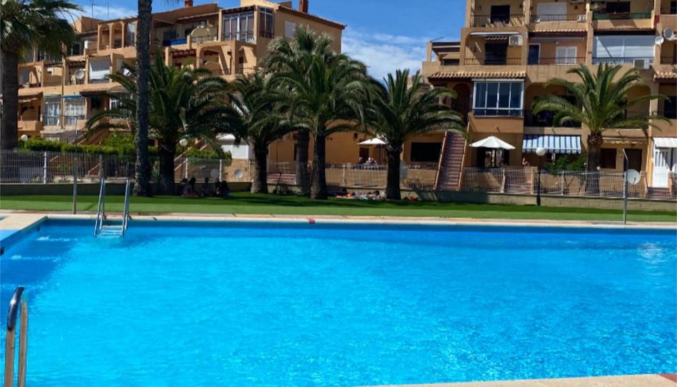 Estudi de lloguer a Calle Argolidas, 3, Aguas Nuevas, Torrevieja - imatge 1 Foto 1 de Estudi de lloguer a Calle Argolidas, 3, Aguas Nuevas, Torrevieja