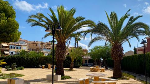 Estudi de lloguer a Calle Argolidas, 3, Aguas Nuevas, Torrevieja - imatge 3 Foto 3 de Estudi de lloguer a Calle Argolidas, 3, Aguas Nuevas, Torrevieja