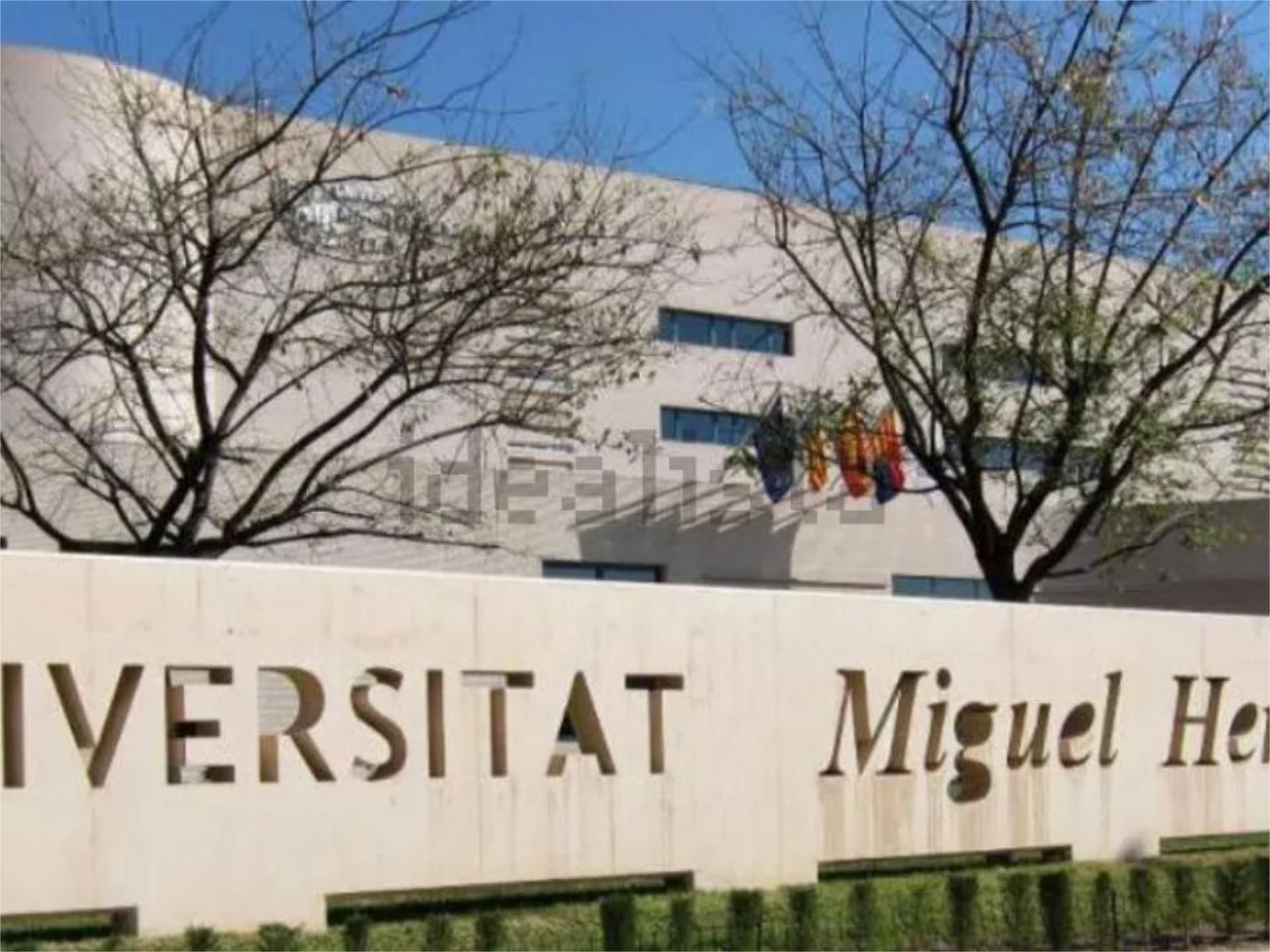 Pis per a compartir a Carrer Fèlix Laorden García, 6, Altabix