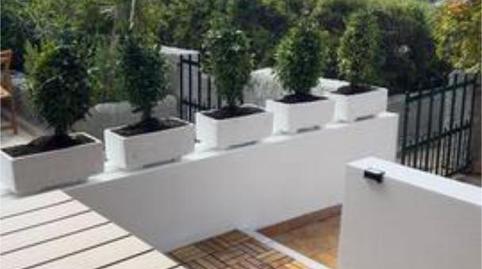 Flat to rent in Sant Agustí, Palma de Mallorca - image 2 Photo 2 of Flat to rent in Sant Agustí, Palma de Mallorca