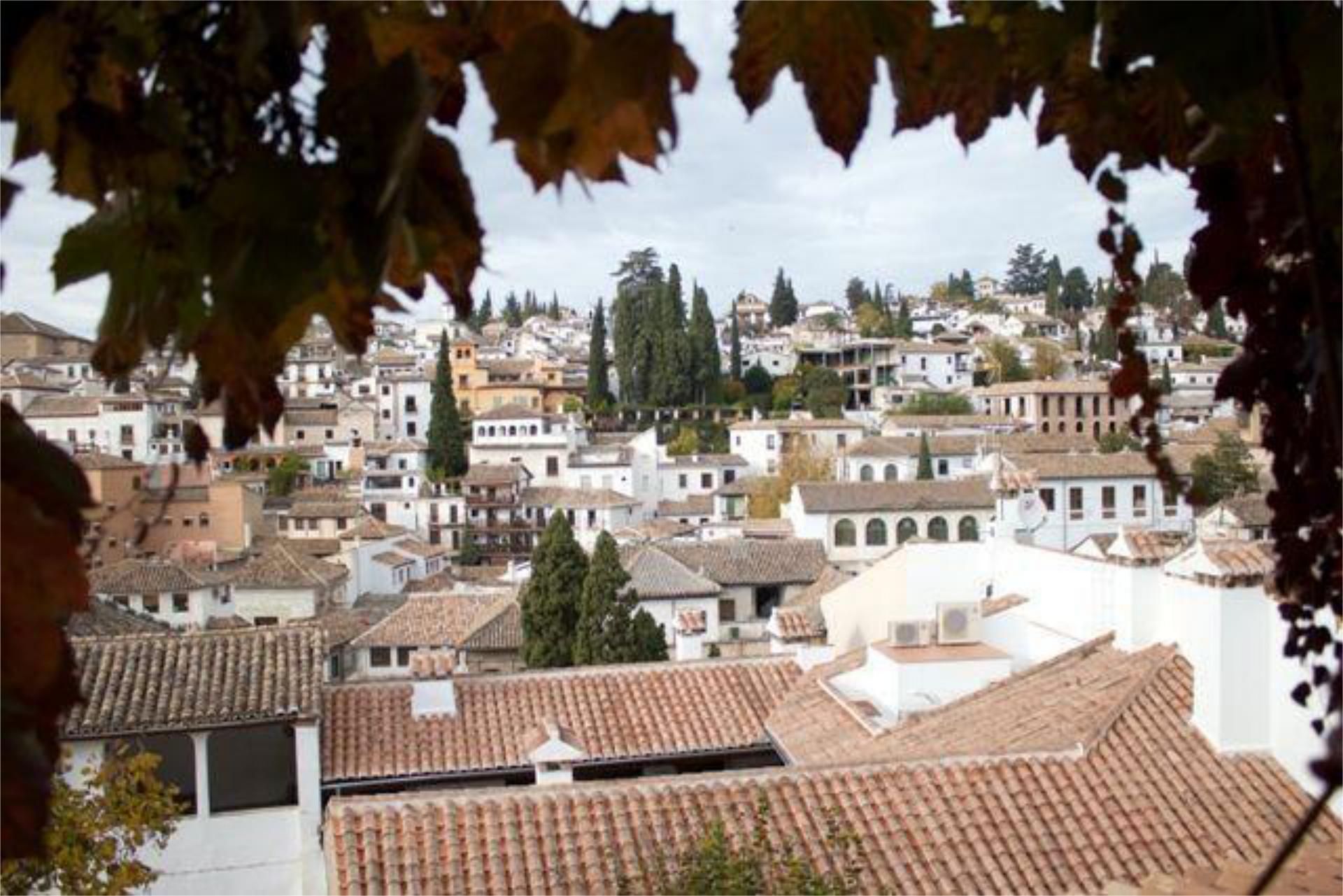 Study to rent in San Matías - Realejo