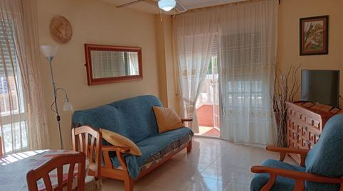 Pis de lloguer a Avenida del Puerto, 42, Puerto Deportivo, Guardamar del Segura - imatge 4 Foto 4 de Pis de lloguer a Avenida del Puerto, 42, Puerto Deportivo, Guardamar del Segura