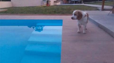 House or chalet for sale in Los Rosales, A Coruña Capital - image 2 Photo 2 of House or chalet for sale in Los Rosales, A Coruña Capital