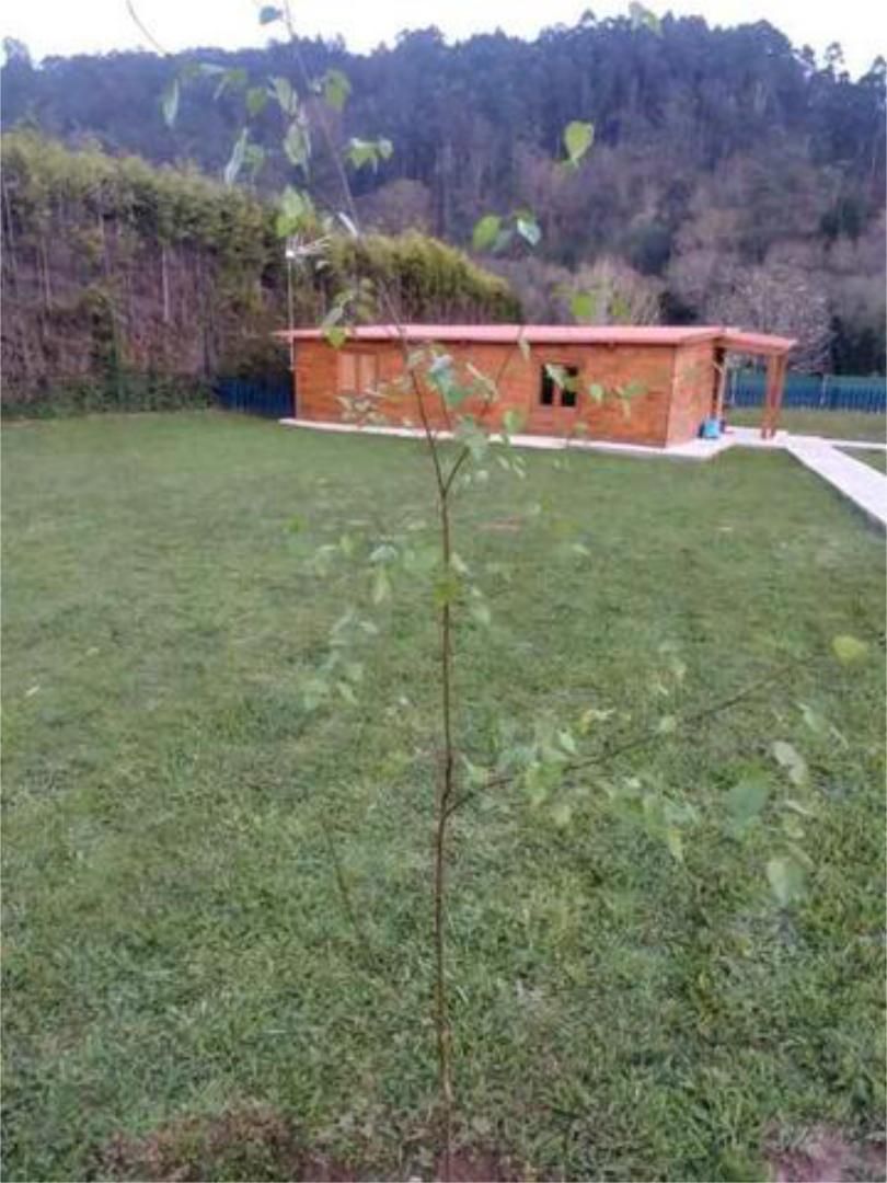 House or chalet for sale in A Coruña Capital   with Private garden and Swimming Pool