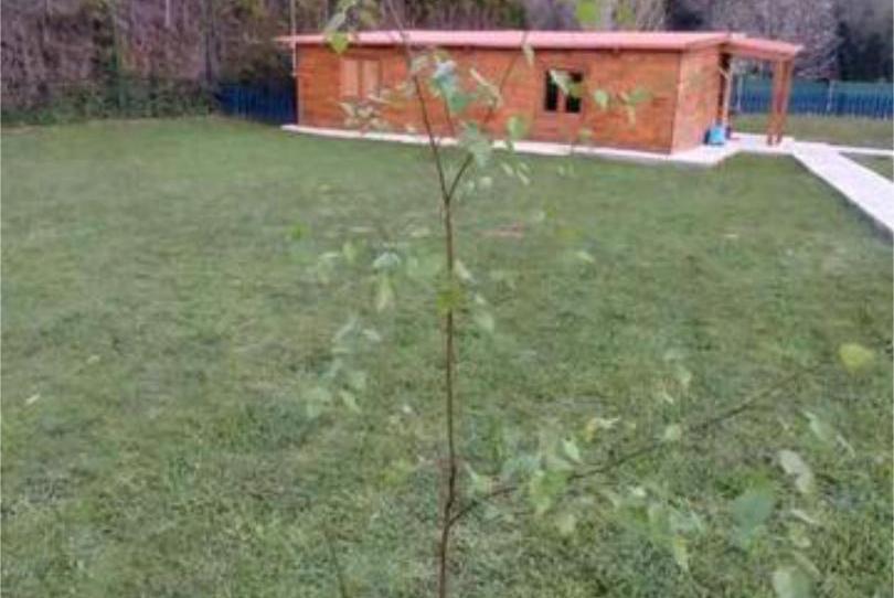 House or chalet for sale in Los Rosales, A Coruña Capital - image 1 Photo 1 of House or chalet for sale in Los Rosales, A Coruña Capital