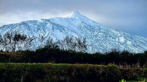 Foto 2 de Finca rústica de alquiler en Vial Camino, 70, Icod El Alto, Los Realejos