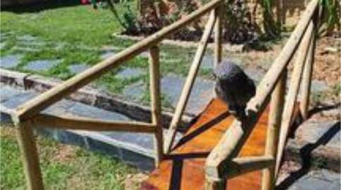 Photo 5 of House or chalet for sale in Vegas del Condado, León