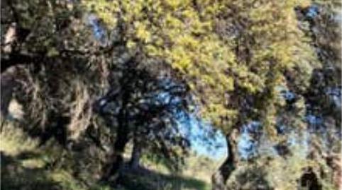 Foto 2 de Casa o xalet en venda a Algarinejo, Granada