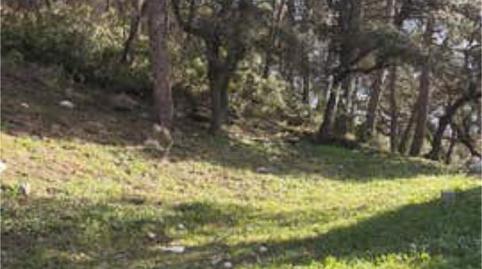 Foto 4 de Casa o xalet en venda a Algarinejo, Granada