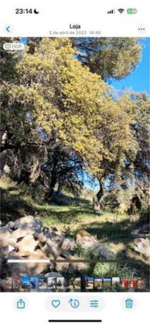 Vista exterior de Casa o xalet en venda en Roquetas de Mar amb Jardí privat i Terrassa