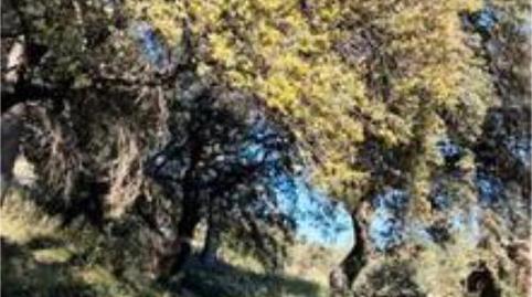 Casa o xalet en venda a El Parador de las Hortichuelas, Roquetas de Mar - imatge 4 Foto 4 de Casa o xalet en venda a El Parador de las Hortichuelas, Roquetas de Mar