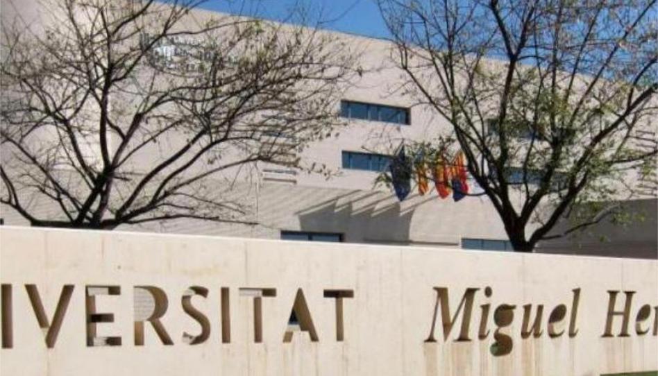 Flat to share in Carrer Fèlix Laorden García, 2, Altabix, Elche / Elx - image 1 Photo 1 of Flat to share in Carrer Fèlix Laorden García, 2, Altabix, Elche / Elx