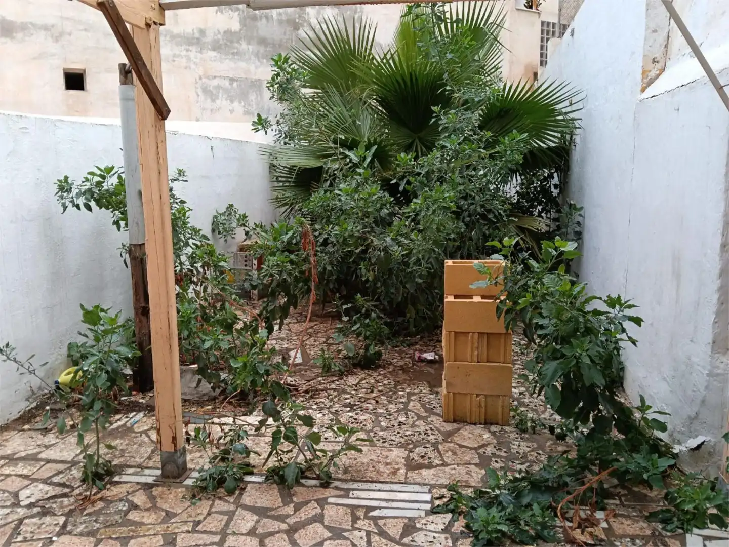 Piso en venta en Calle Ferrocarril, 13, Ciudad Jardín - Tagarete - El Zapillo Jardín de Piso en venta en Almería