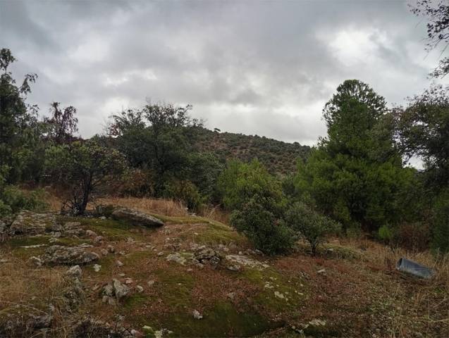 Finca rústica en Venta en Calle Alipio García León, 37A en El Hoyo de Pinares