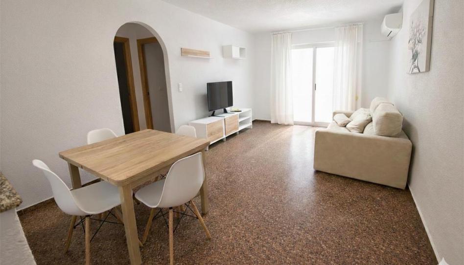 Flat to rent in Carrer Nou D'octubre, 9, Las Viñas, Guardamar del Segura - image 1 Photo 1 of Flat to rent in Carrer Nou D'octubre, 9, Las Viñas, Guardamar del Segura