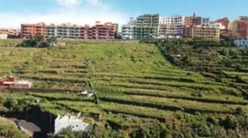 Foto 5 de Casa o xalet per a compartir a Los Realejos pueblo, Los Realejos