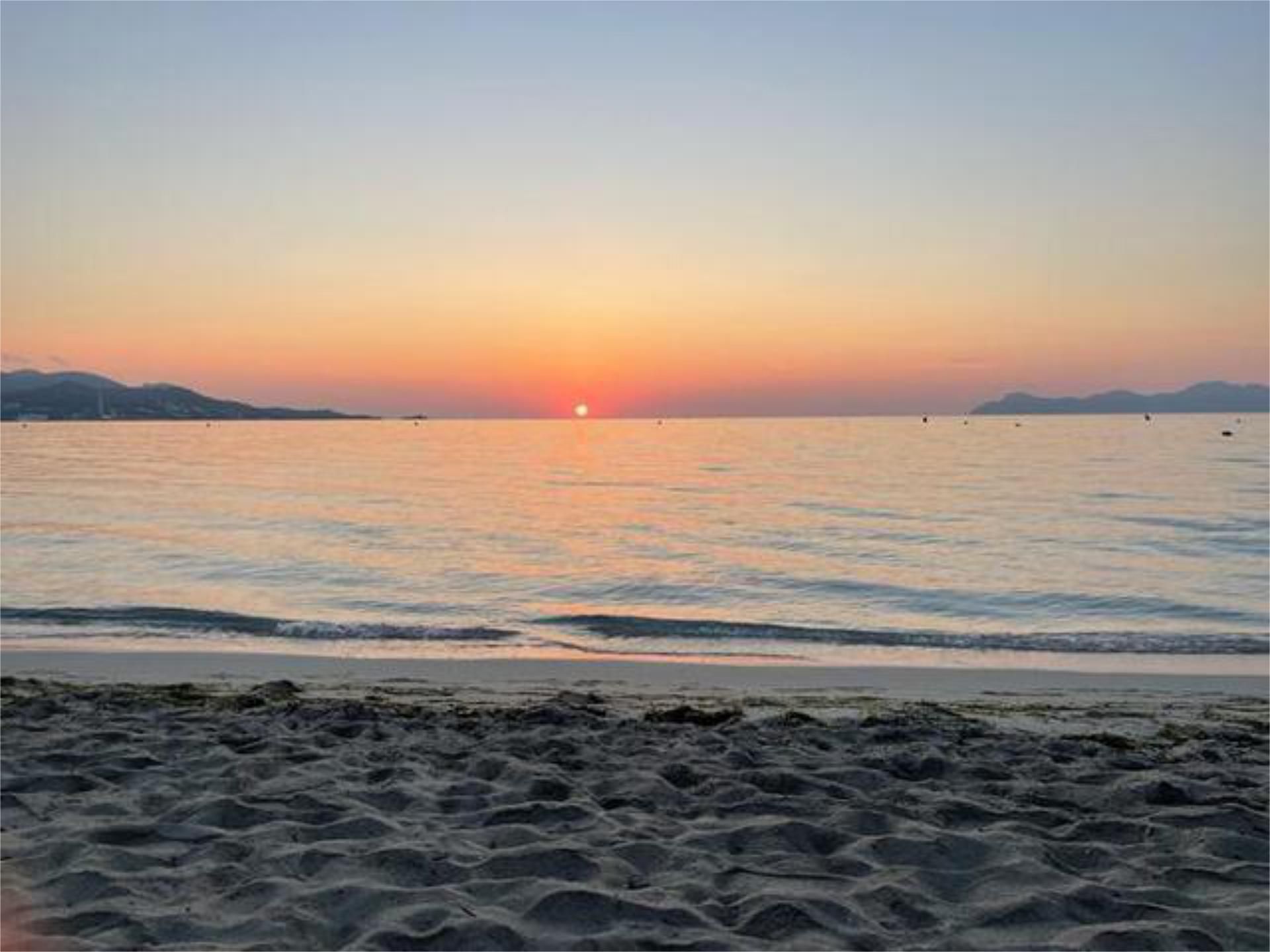 Vista exterior de Apartament de lloguer en Alcúdia amb Terrassa