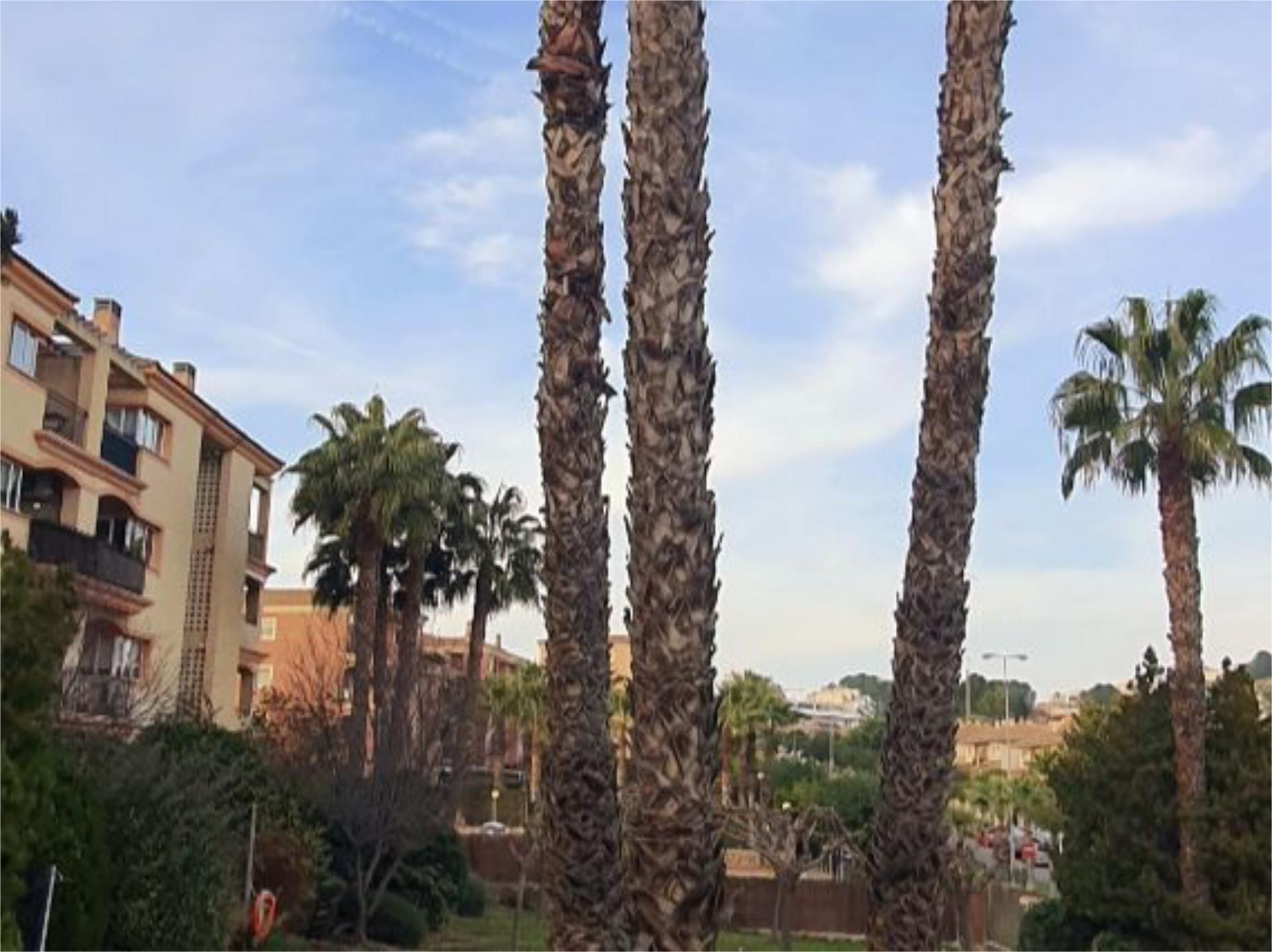 Flat for sale in Avenida del Golf, 137, Altorreal - El Chorrico Exterior view of Flat for sale in Molina de Segura with Air Conditioner, Swimming Pool and Balcony