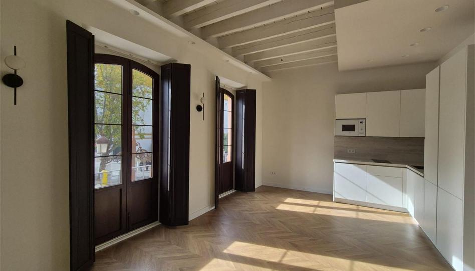 Apartament de lloguer a Calle Habana, 33, Alfalfa - Santa Cruz, Sevilla Capital - imatge 1 Foto 1 de Apartament de lloguer a Calle Habana, 33, Alfalfa - Santa Cruz, Sevilla Capital