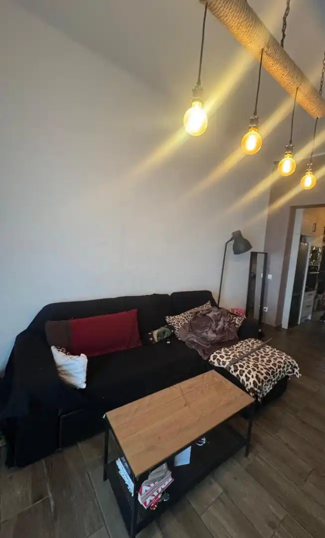 Study for sale in Gran Via de les Corts Catalanes, 19, Besós Living room of Study for sale in Sant Adrià de Besòs with Air Conditioner, Heating and Furnished