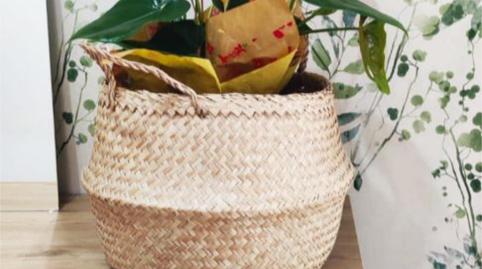 Pis per a compartir a Calle Gutiérrez Solana, 13, Alisal - San Román, Santander - imatge 4 Foto 4 de Pis per a compartir a Calle Gutiérrez Solana, 13, Alisal - San Román, Santander