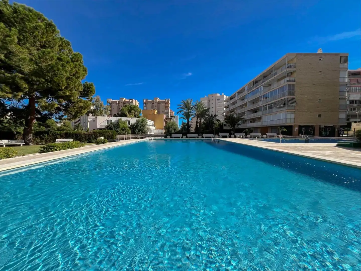 Piso de alquiler en Avenida de Cataluña, 14, Playa de San Juan Piscina de Piso de alquiler en Alicante / Alacant con Terraza, Piscina y Amueblado