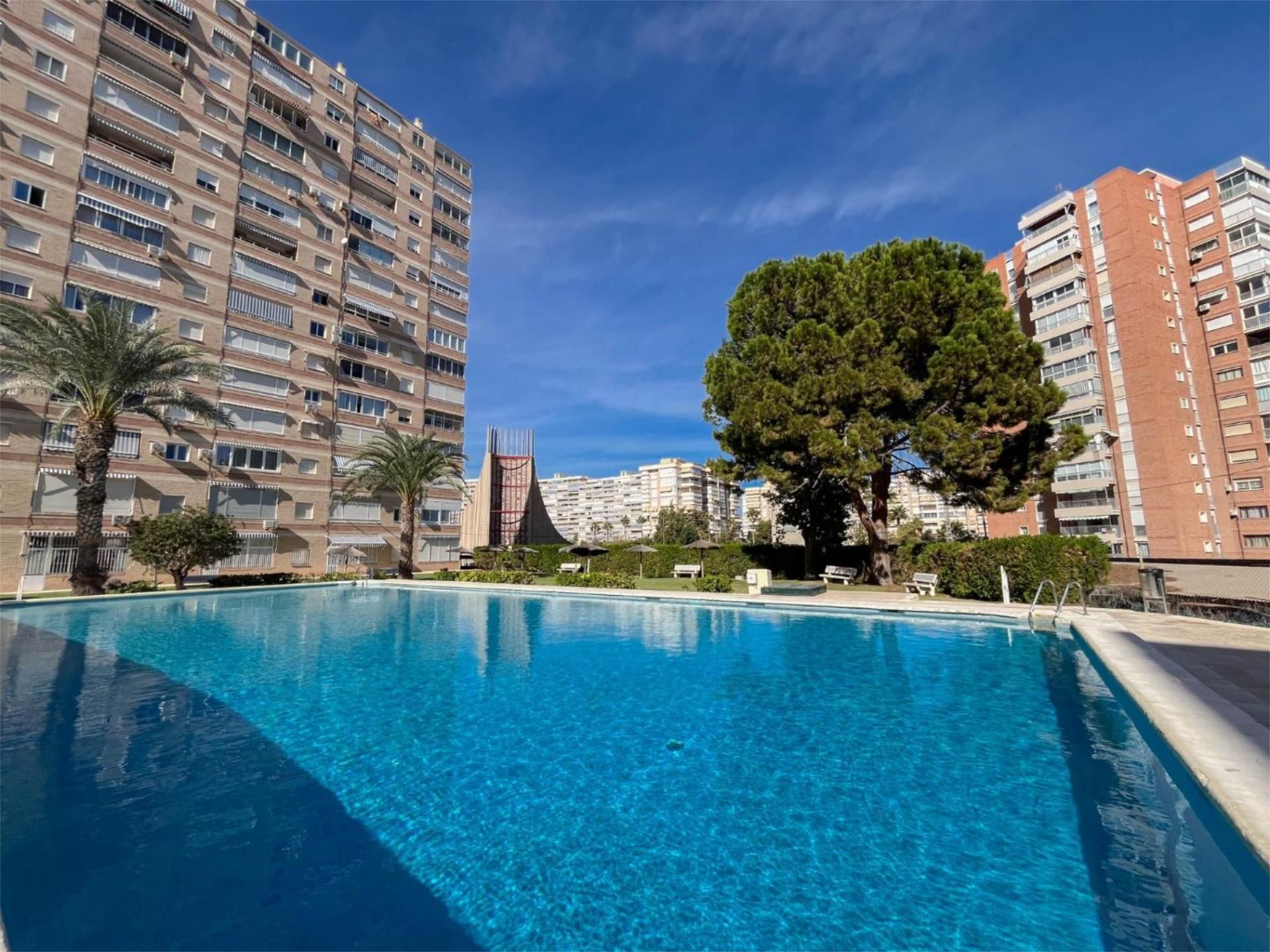 Flat to rent in Avenida de Cataluña, 14, Playa de San Juan Swimming pool of Flat to rent in Alicante / Alacant with Terrace and Swimming Pool