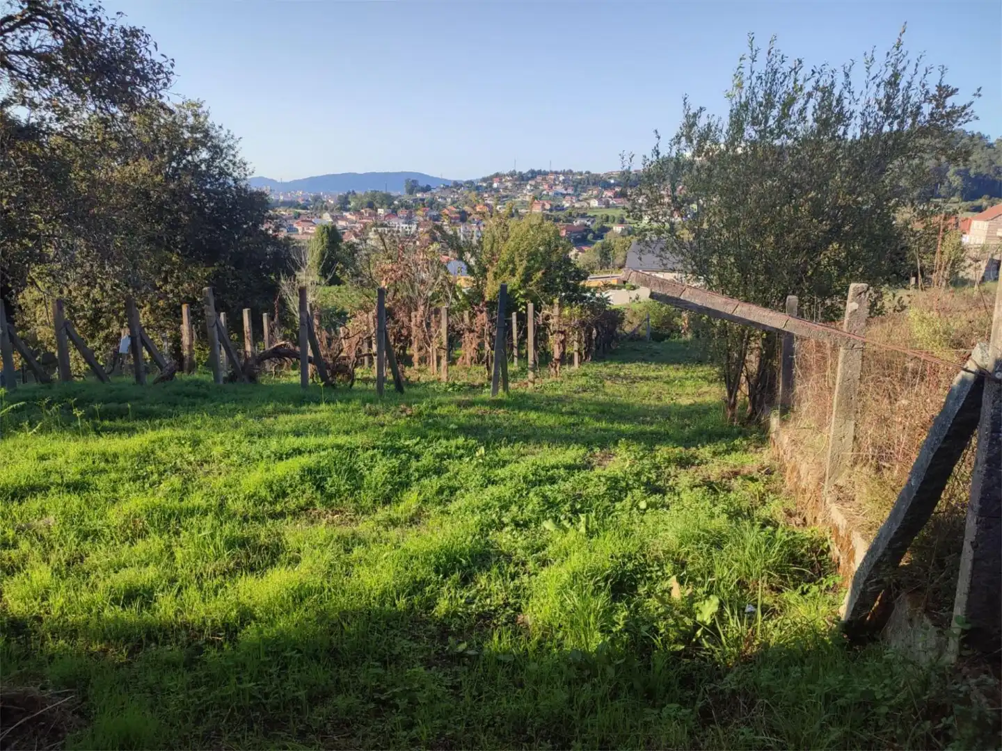 Pis en venda a Camino Devesa, 1, Sardoma - Castrelos Pis en venda en Vigo