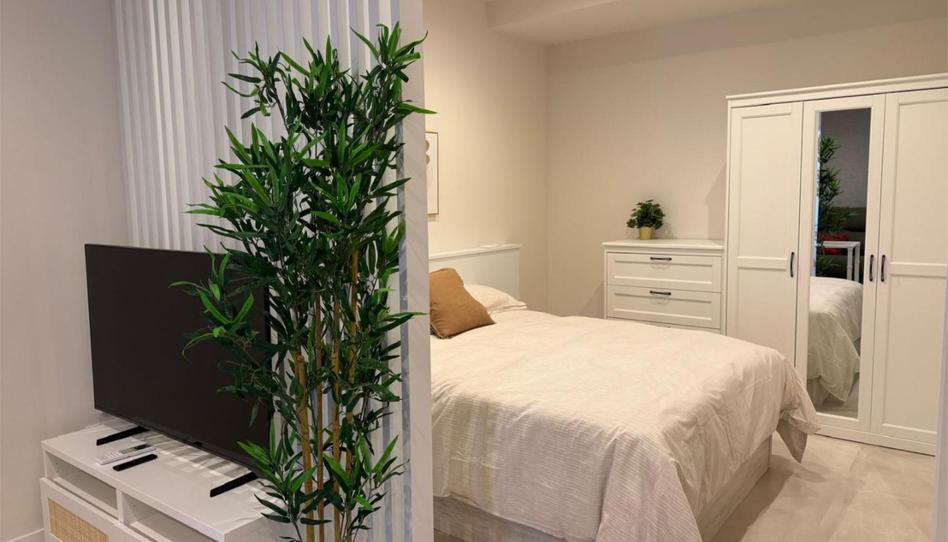 Study to rent in Avenida de Los Almogávares, 36, Santa Rosa - Valdeolleros, Córdoba Capital - image 1 Photo 1 of Study to rent in Avenida de Los Almogávares, 36, Santa Rosa - Valdeolleros, Córdoba Capital