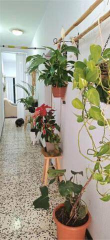 Piso en Venta en El Sobradillo